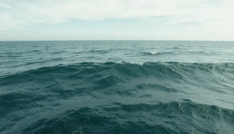Lames de fond mer : définition, dangers et décryptage du phénomène