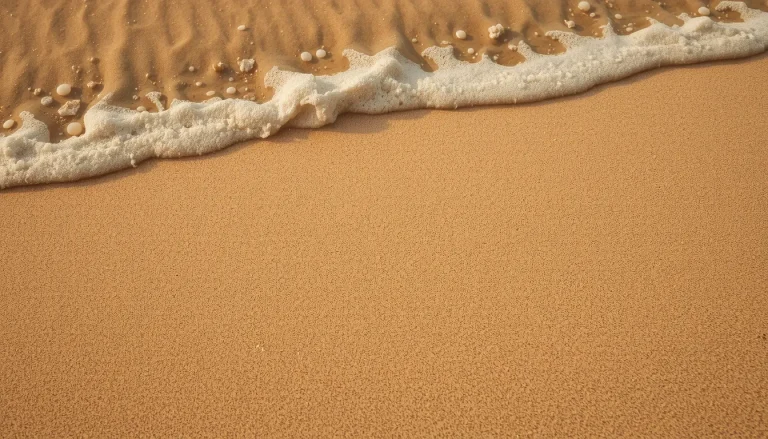 D’où vient le sable : origines géologiques et enjeux d’une ressource menacée