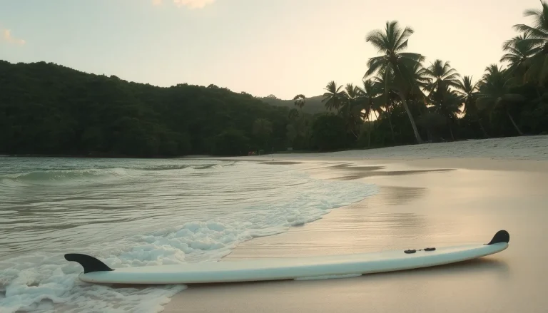 Pimprenelle accident de surf : le drame en Indonésie et la révélation de son secret dans Secret Story